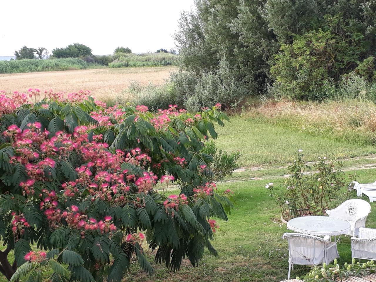 Hotel Aux Roses de l'Etang à Capestang Extérieur photo