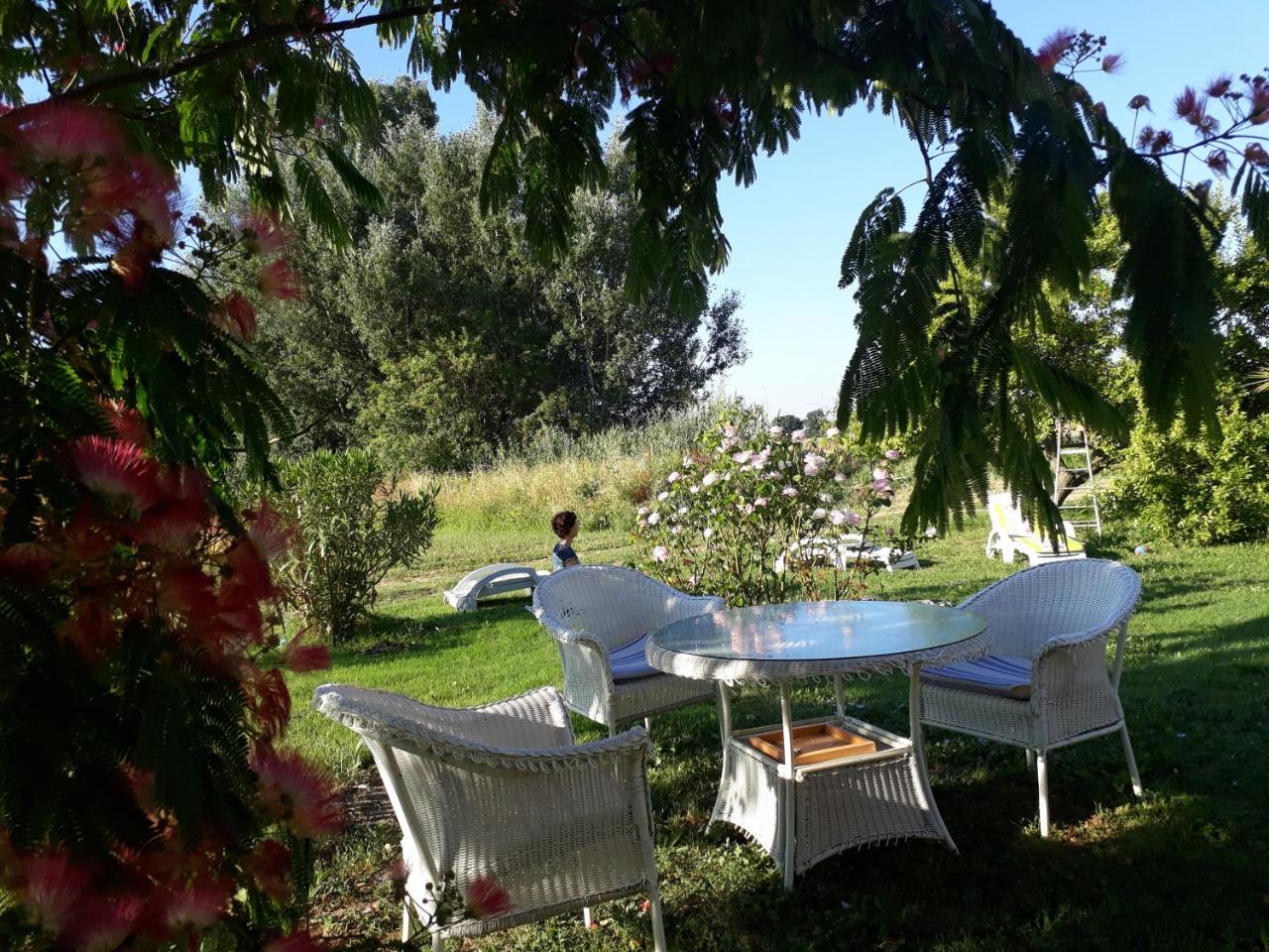 Hotel Aux Roses de l'Etang à Capestang Extérieur photo