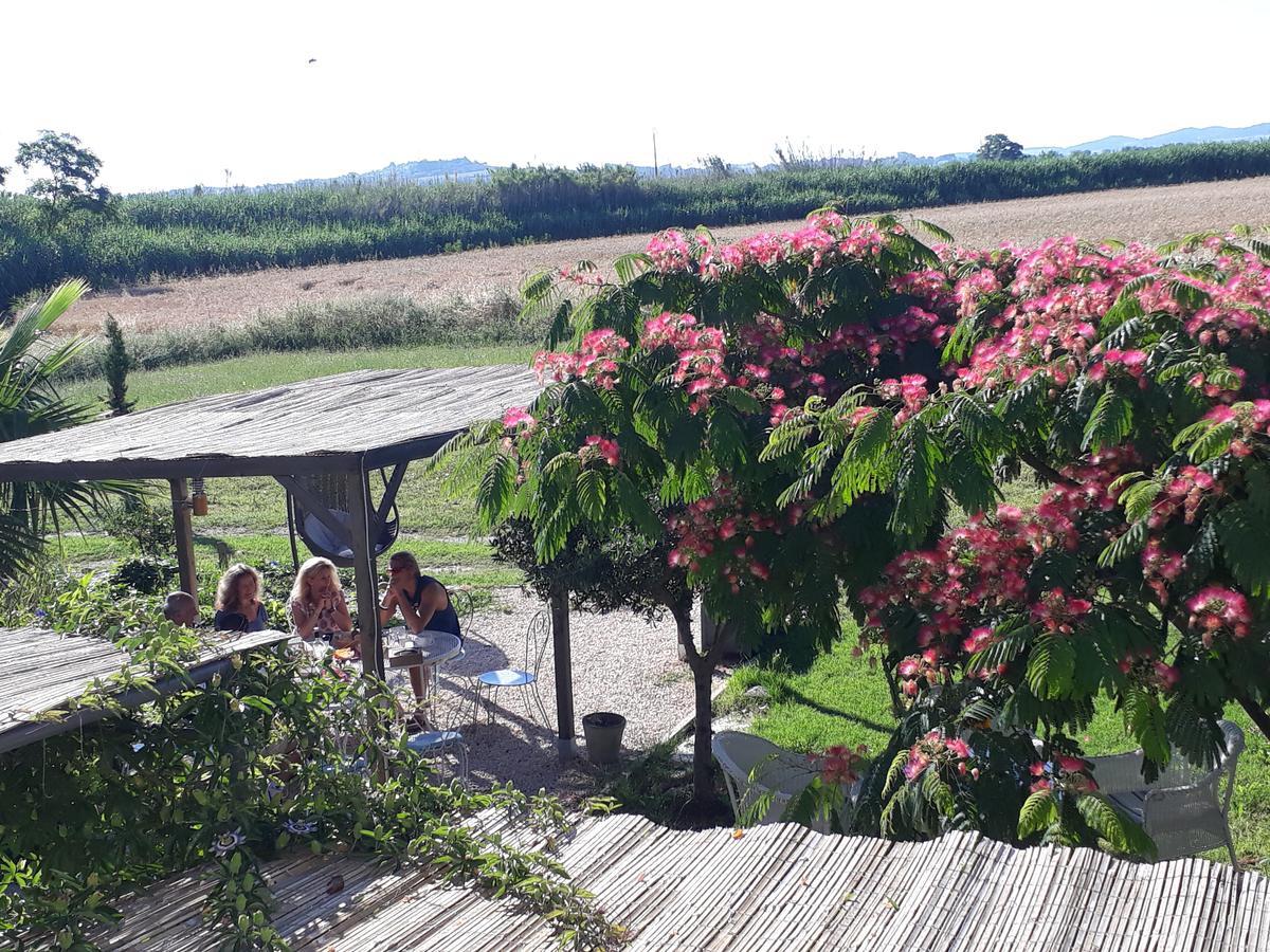 Hotel Aux Roses de l'Etang à Capestang Extérieur photo